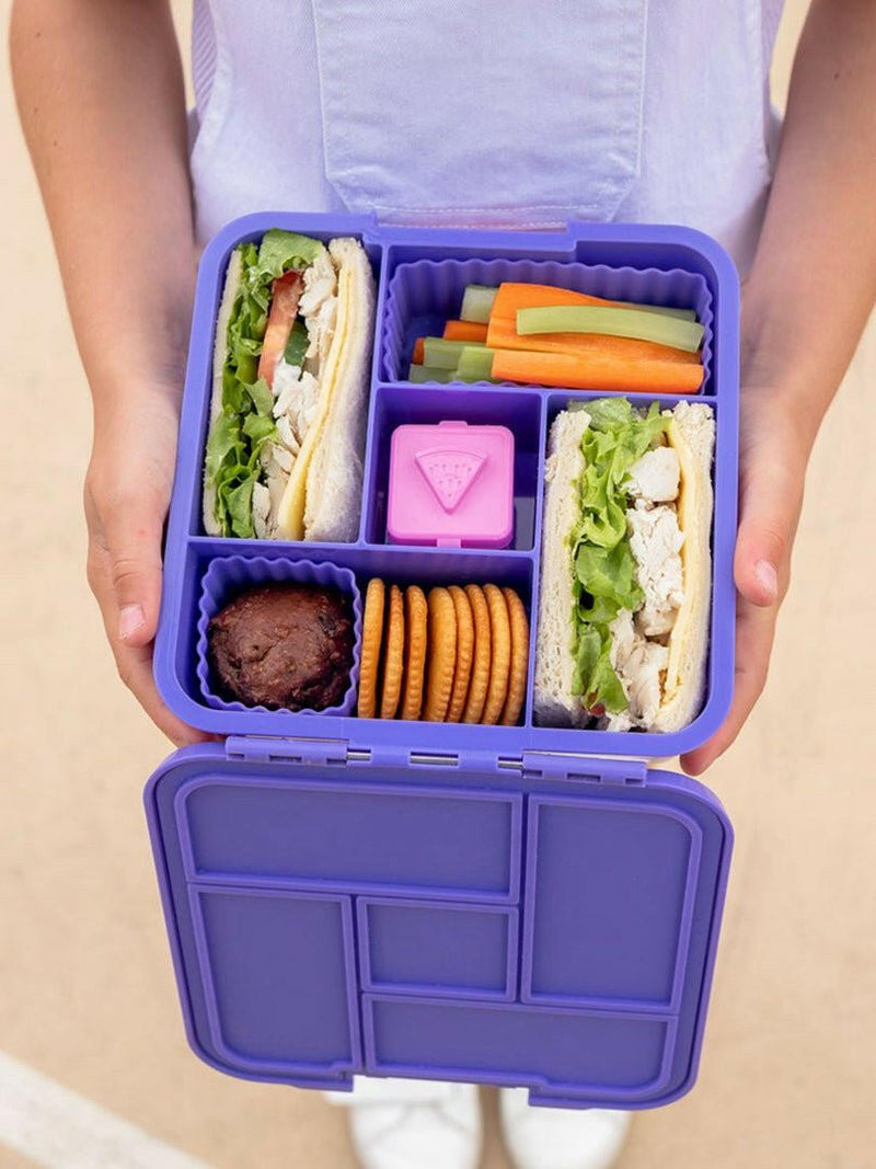 Little Lunch Box Co Leakproof Bento Five - Grape - HYPHEN KIDS